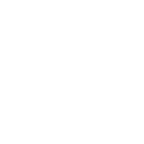 P4 Telecom